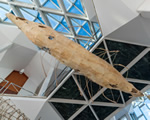 Jinwon Chang- Hweh - Geeh: Returning Again exhibition